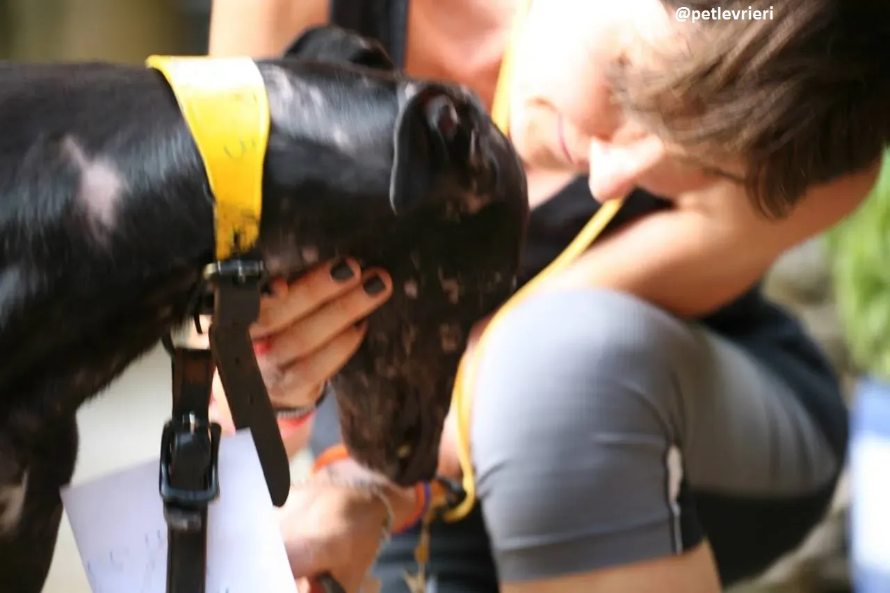 42374649 238754593475870 4552120366834647040 n