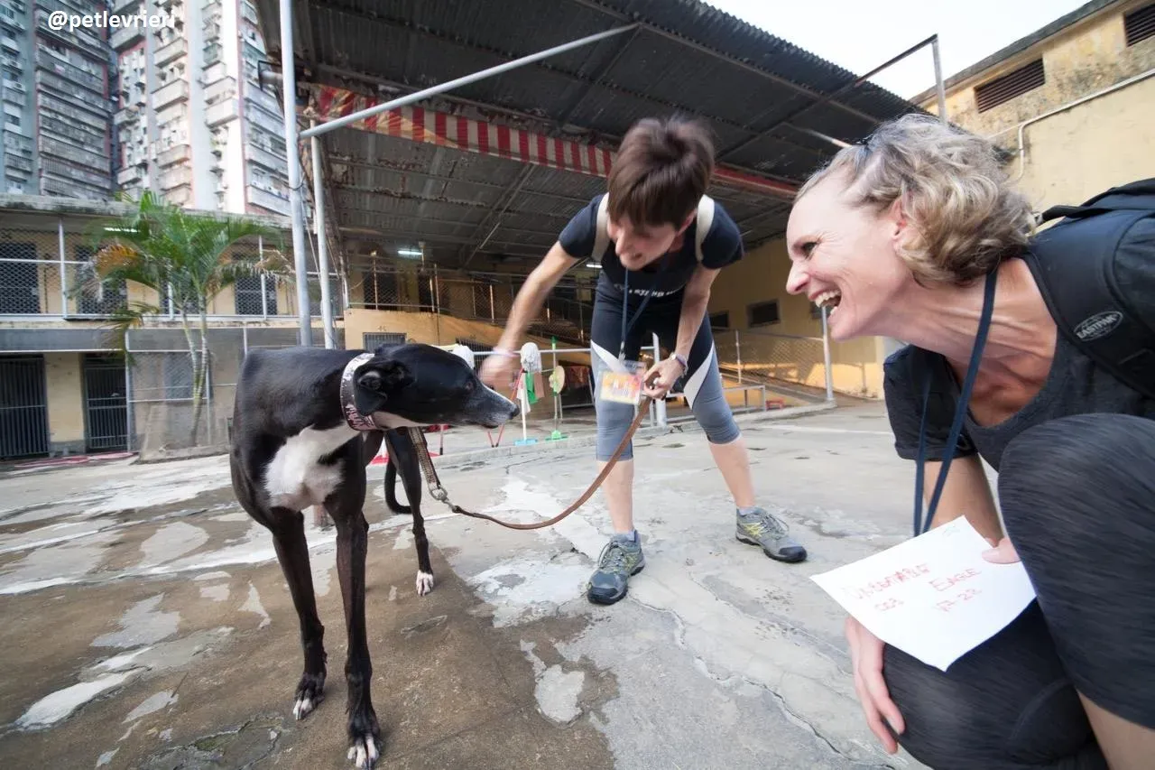 42374709 845947049129305 3298728856935989248 n