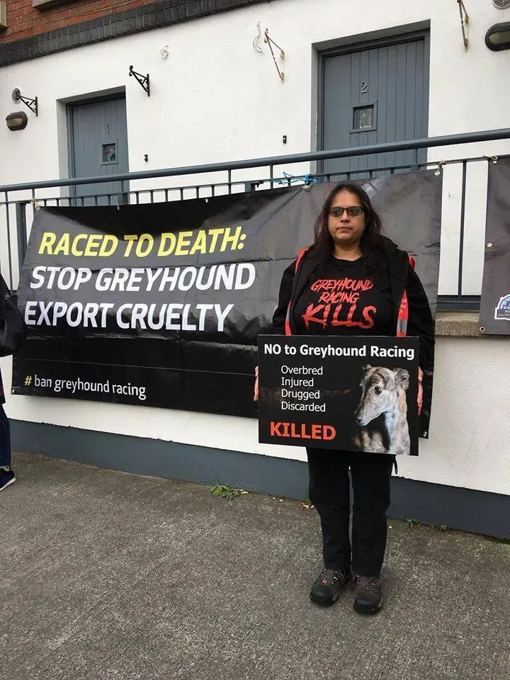 42378217 1862718983843651 8612053918387535872 n