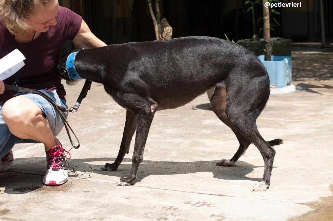 42381518 1271690896305949 3501507057687724032 n