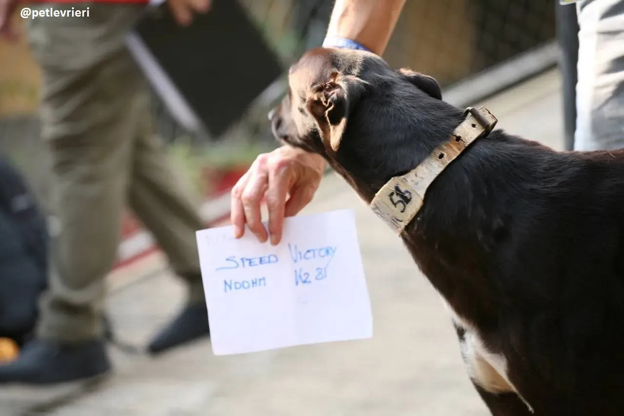 42381522 309631833159197 6835897333025079296 n 1