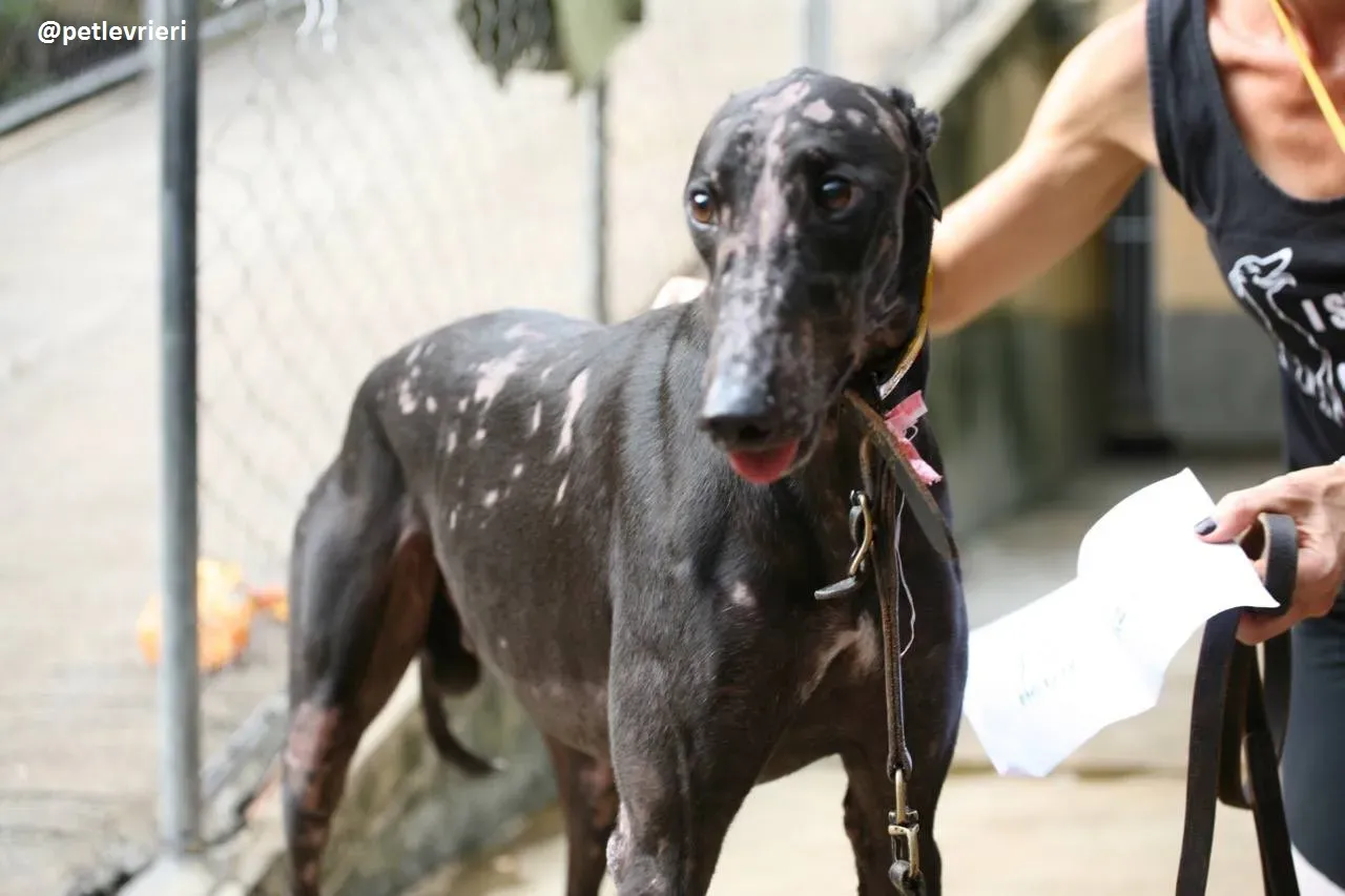 42383586 330565691080344 4631984214256910336 n