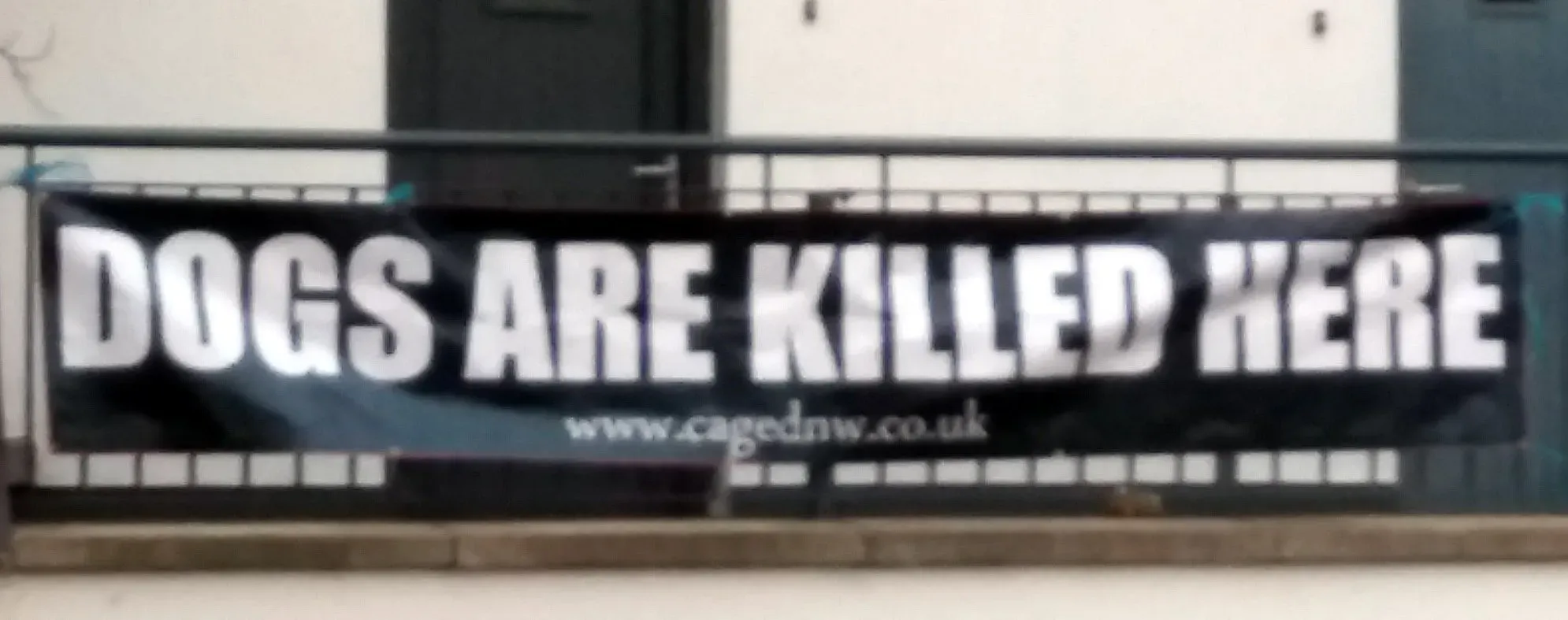 42384460 1862718710510345 1146165396496187392 o