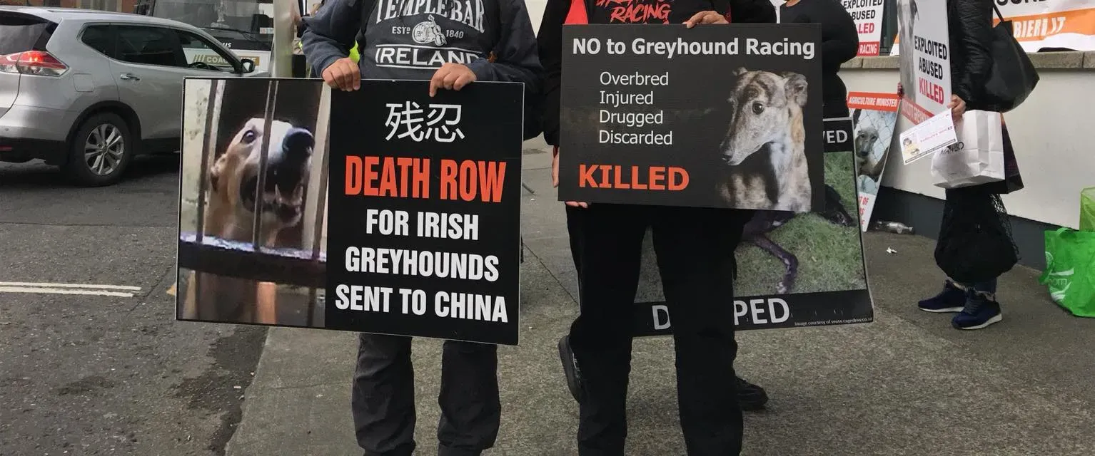 42385045 1862719073843642 1278349835438653440 o