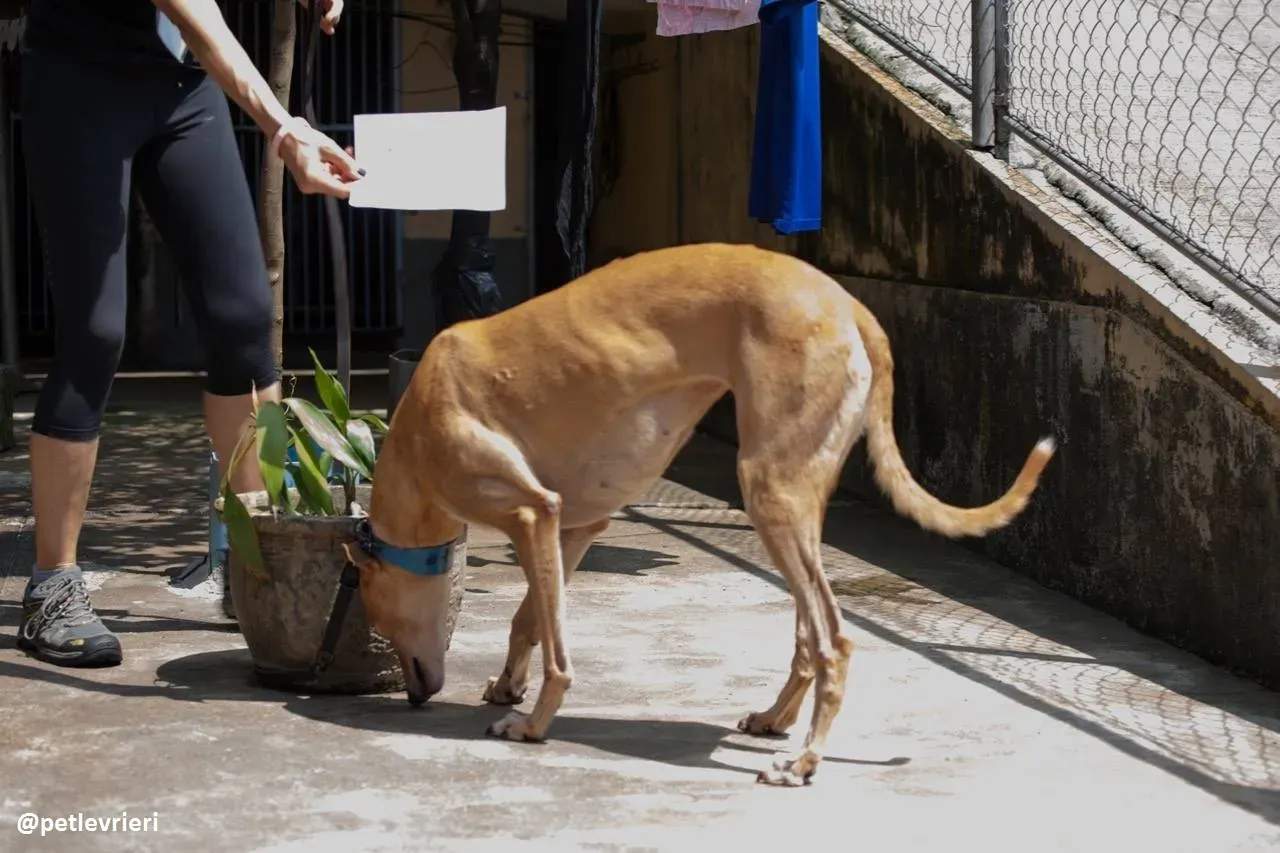 42386837 554172285052870 4222664510869078016 n