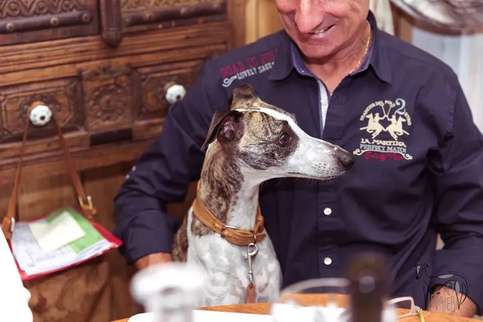 42386895 2092028064182517 1349333554508595200 n