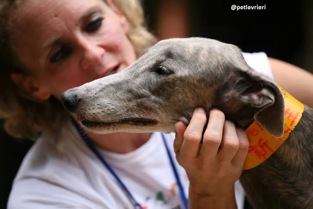 42387507 2245737072350777 1674529533060972544 n