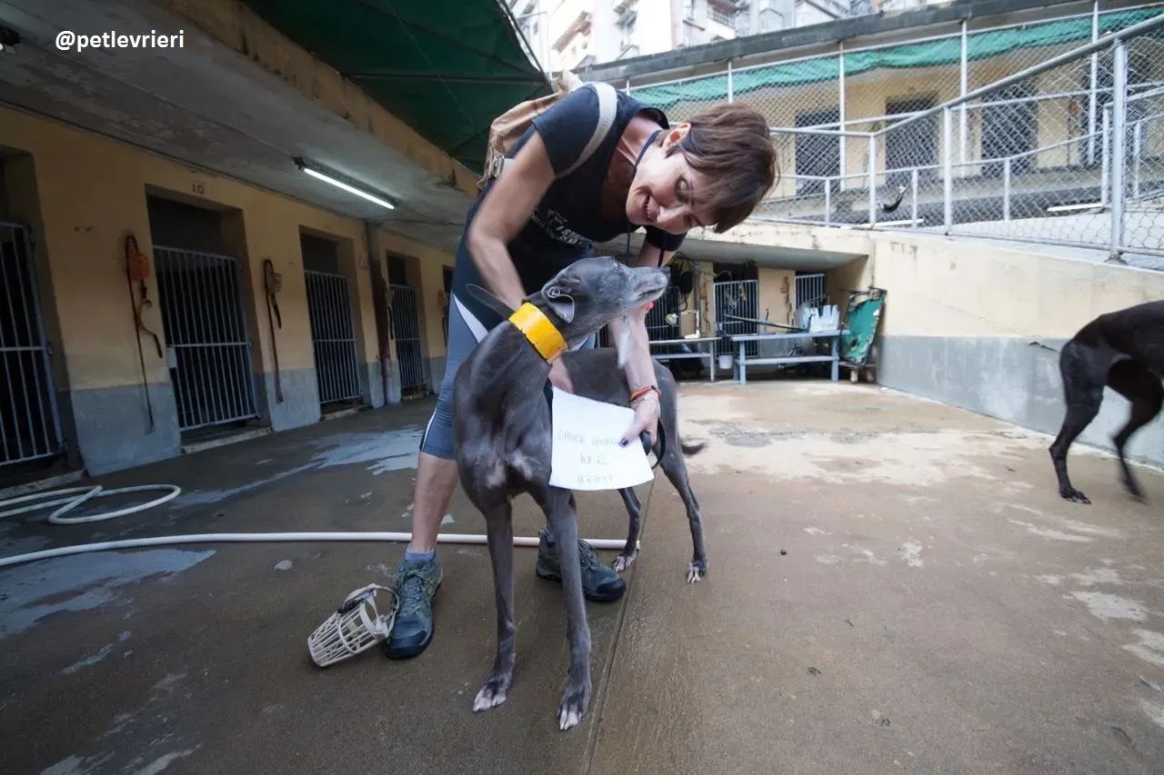 42394653 1158032454336140 5888815846930776064 n