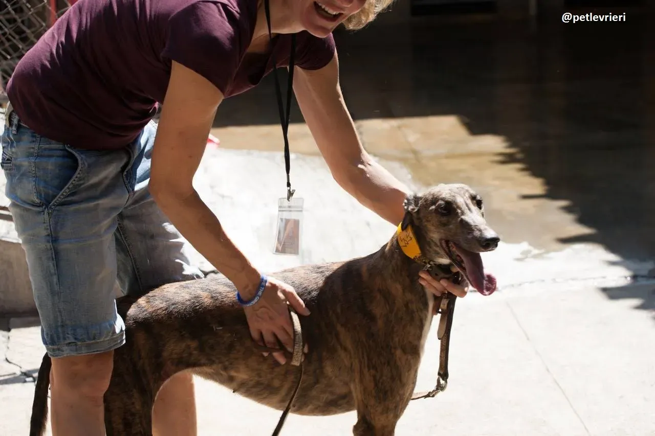 42397463 1067272010114835 5227585063113195520 n