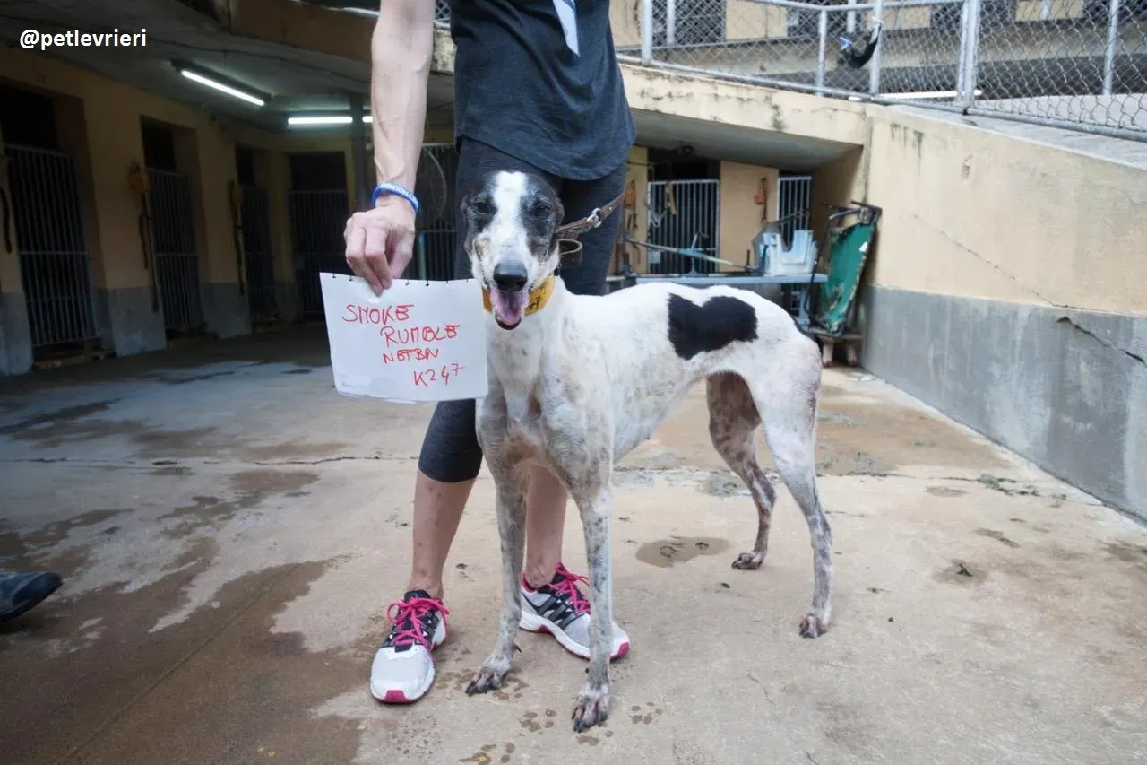 42397504 310818576395315 4058377227203510272 n