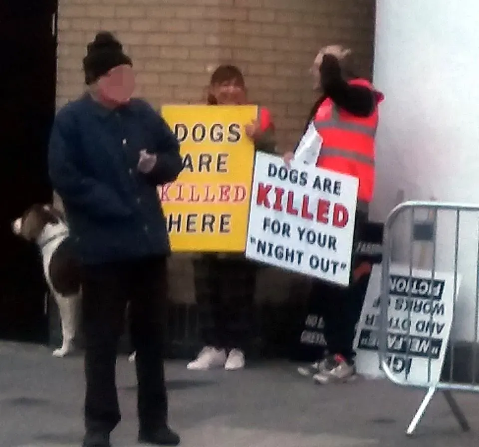 42397516 1862718657177017 2109159813731581952 n