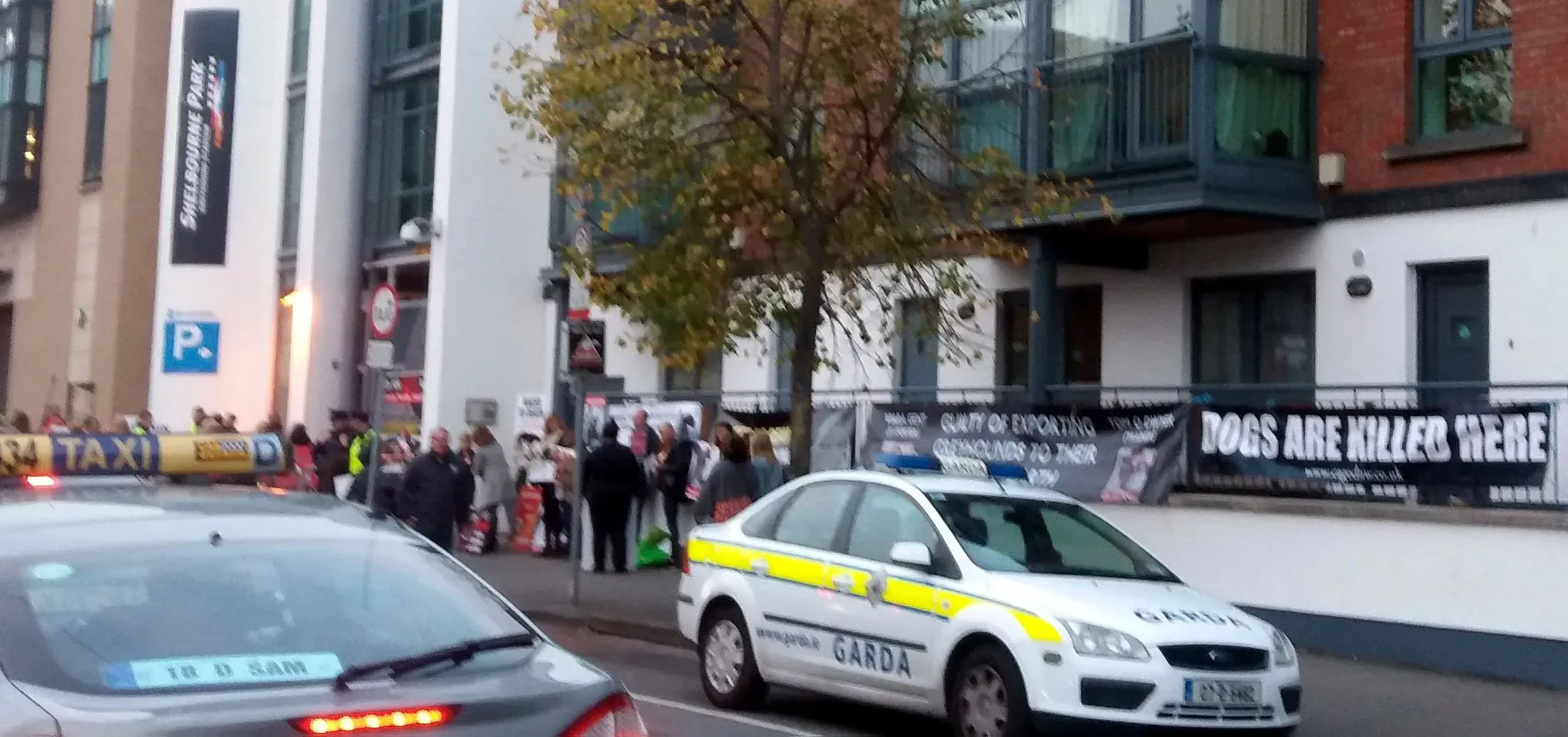 42404448 1862718787177004 2730840876535250944 o