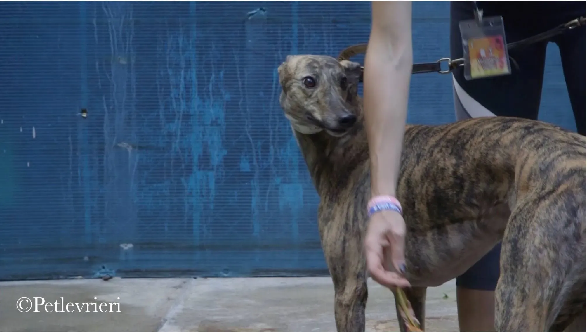 42405856 2148793945375858 5503425686976593920 n