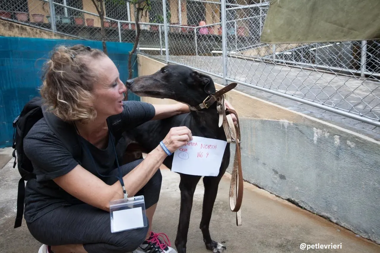 42412639 712315259129187 6411657531726233600 n