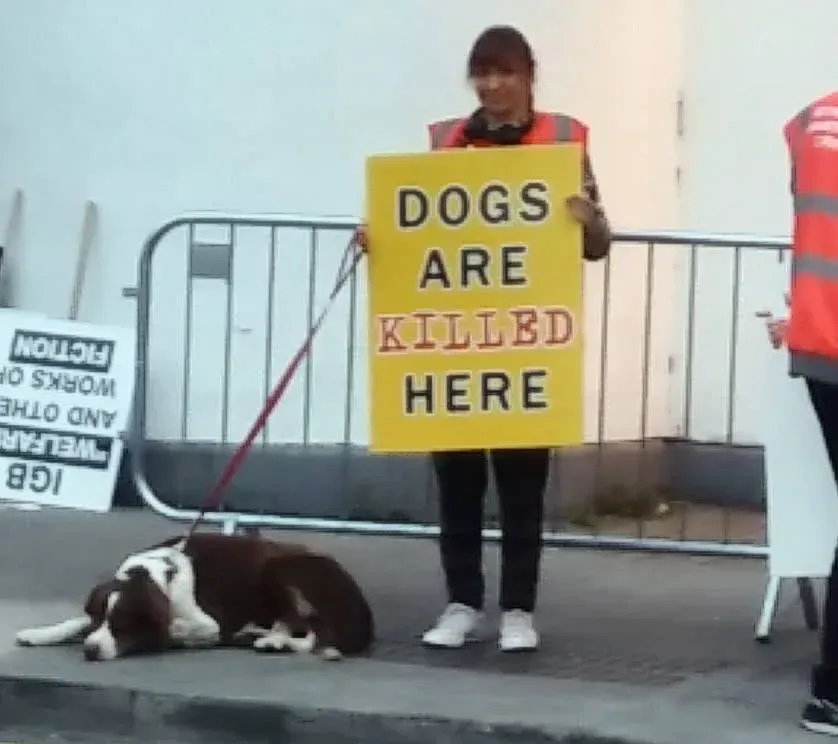 42416660 1862719100510306 8132391287870455808 n