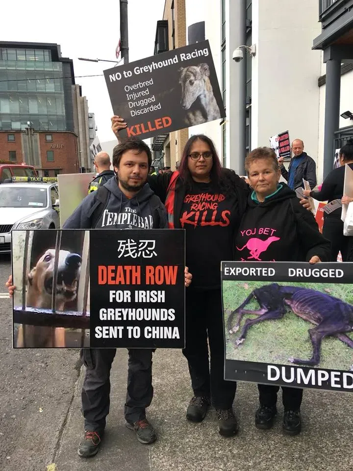 42416673 1862718997176983 6835110250203316224 n