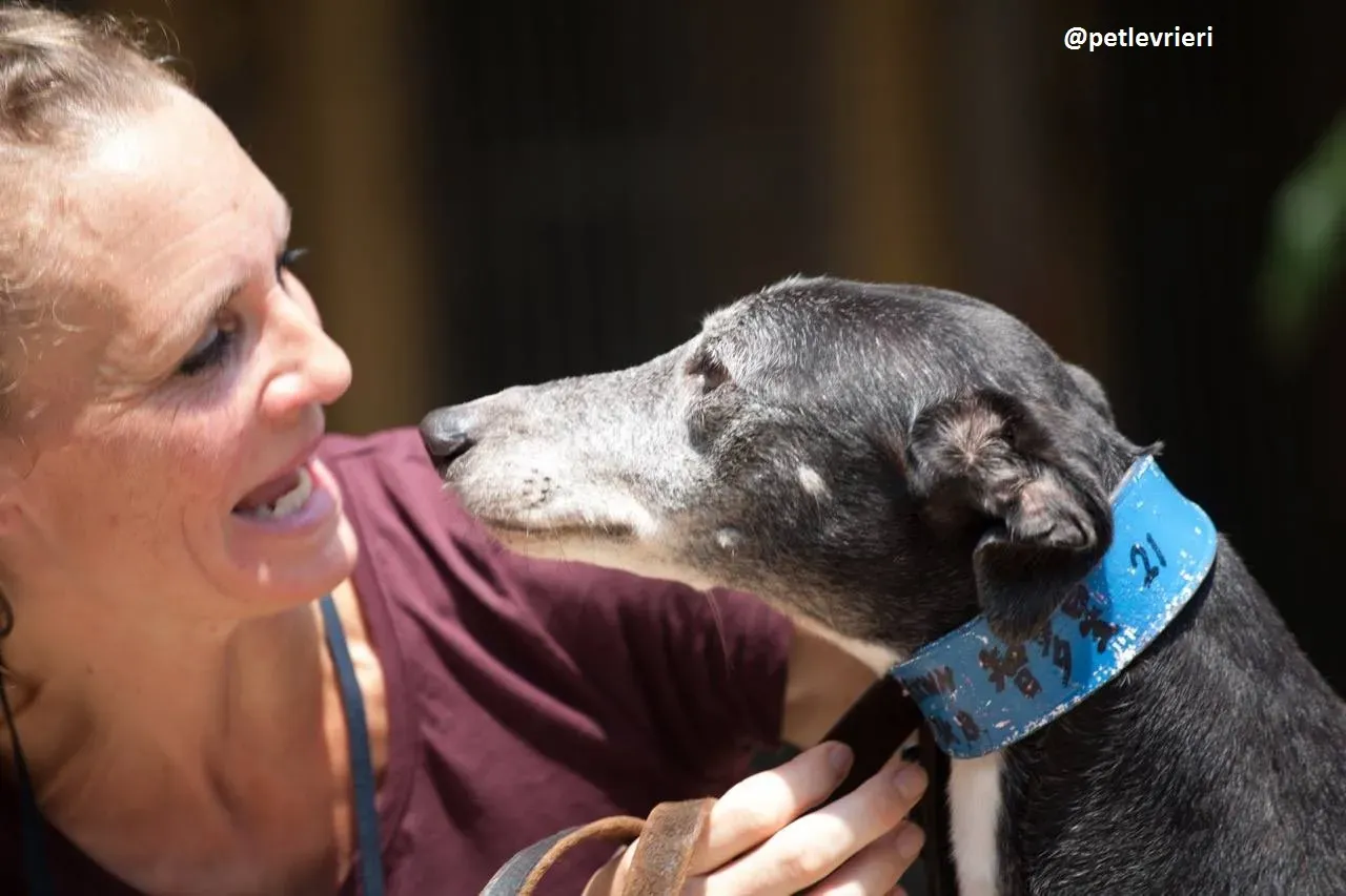 42419095 478498072654520 2490718029634076672 n