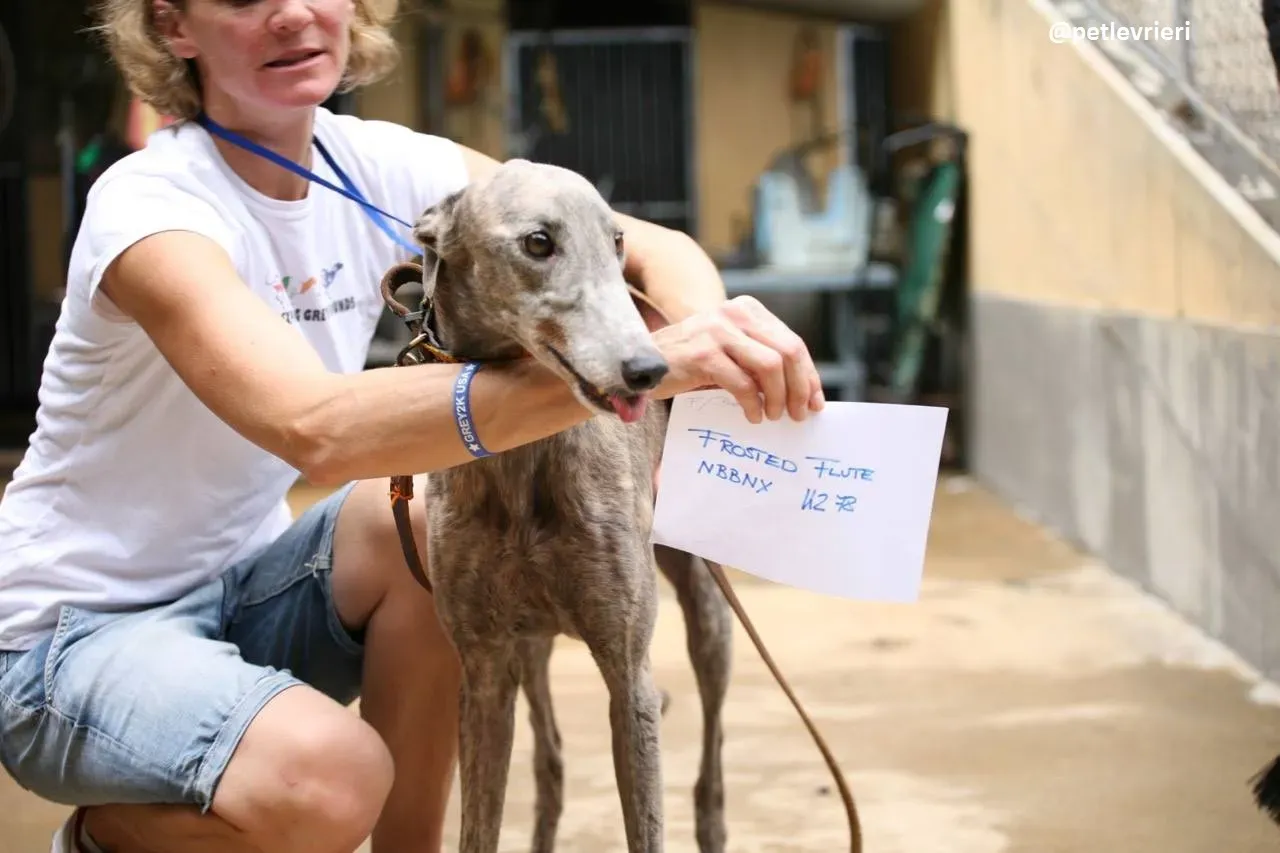 42422364 1878511105562434 7961700332520603648 n