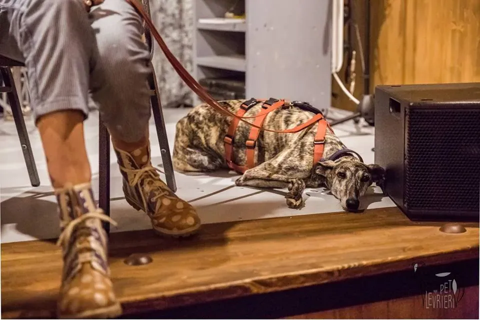 42424664 2092033380848652 6677879537675534336 n