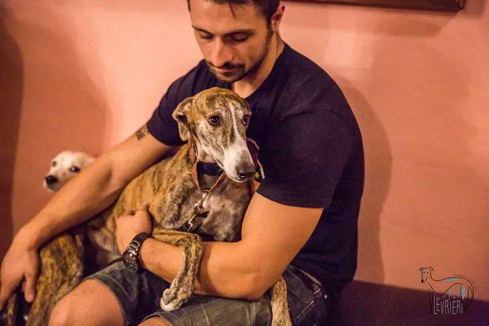 42424724 2092031154182208 5511202317971488768 n