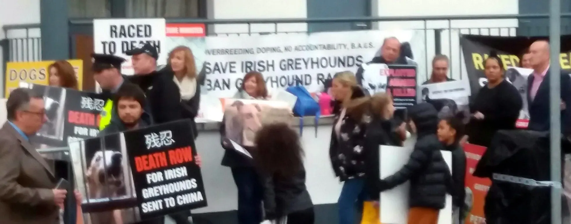 42432264 1862718683843681 4692092526377566208 o