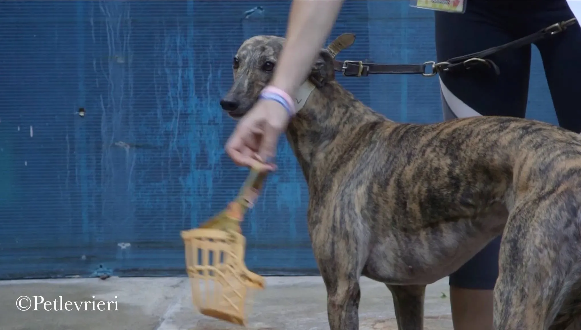 42439033 252682205379271 1353818449553391616 n