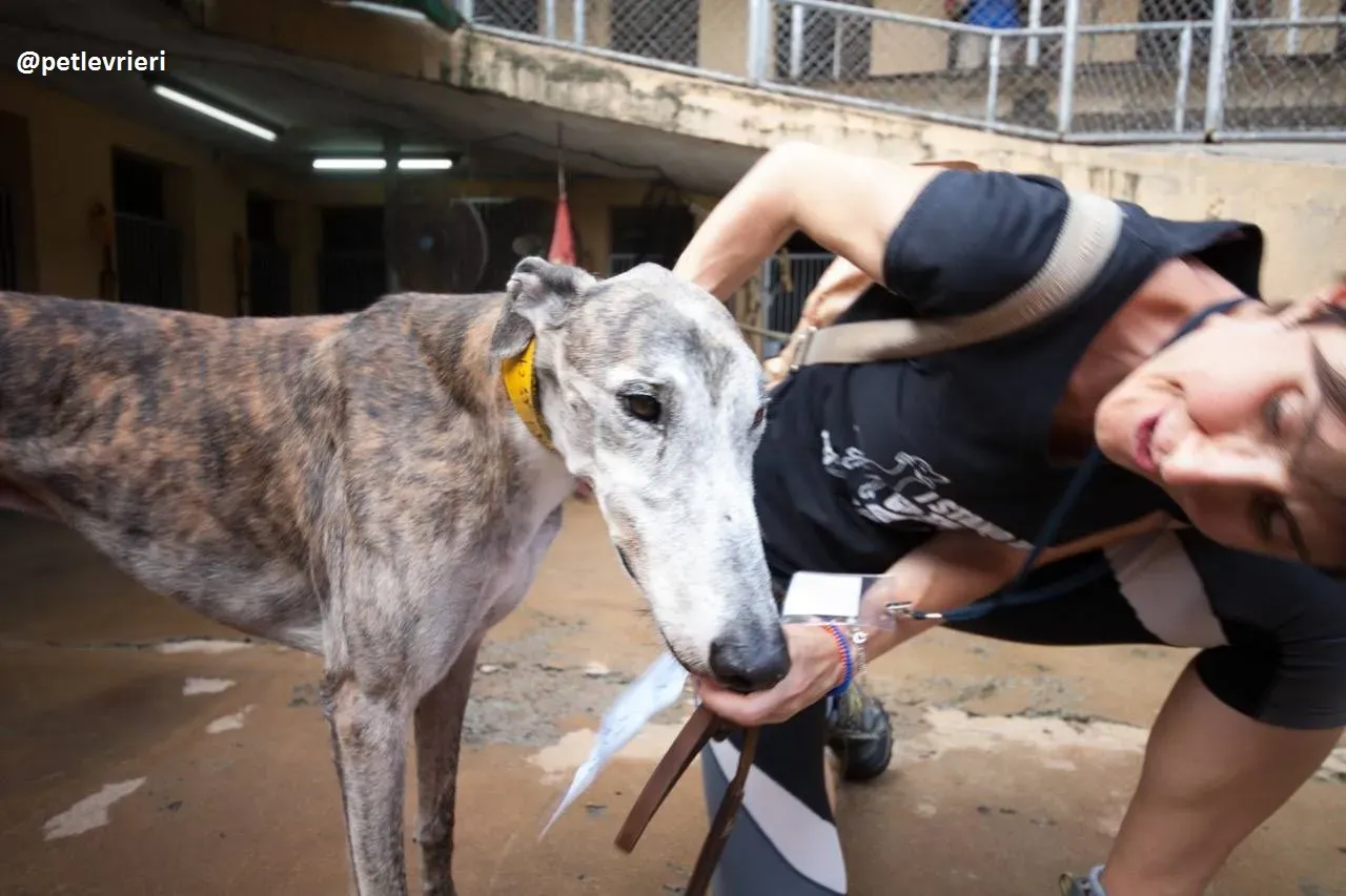 42448042 257432158267143 5270198203910717440 n