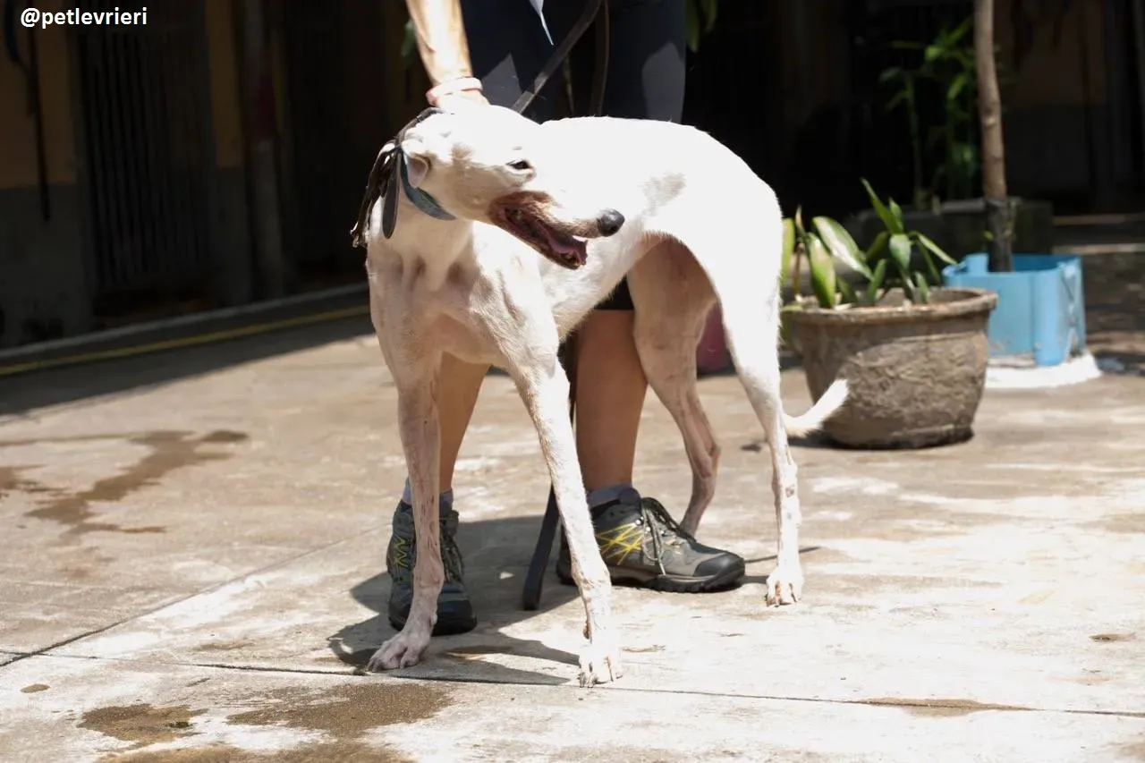 42448073 248843592497099 7424599025589944320 n