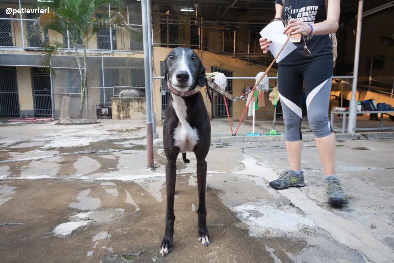 42450690 2206072609716121 3383061149678305280 n