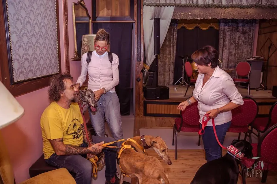 42464983 2092028934182430 3869209833647374336 n