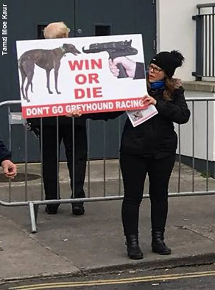 42471929 1862719210510295 4921553486333607936 n