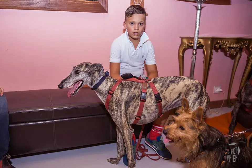 42473033 2092028800849110 596257149923885056 n