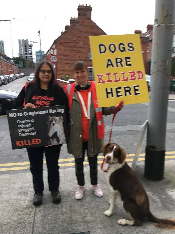 42507572 1862718870510329 321032621939228672 n