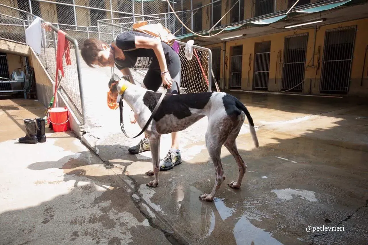 42521870 253659975291332 9214242405262295040 n