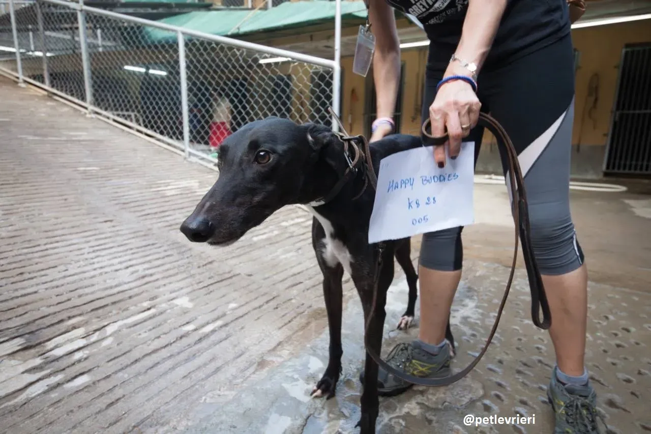 42551799 527741150984998 7364856386984869888 n