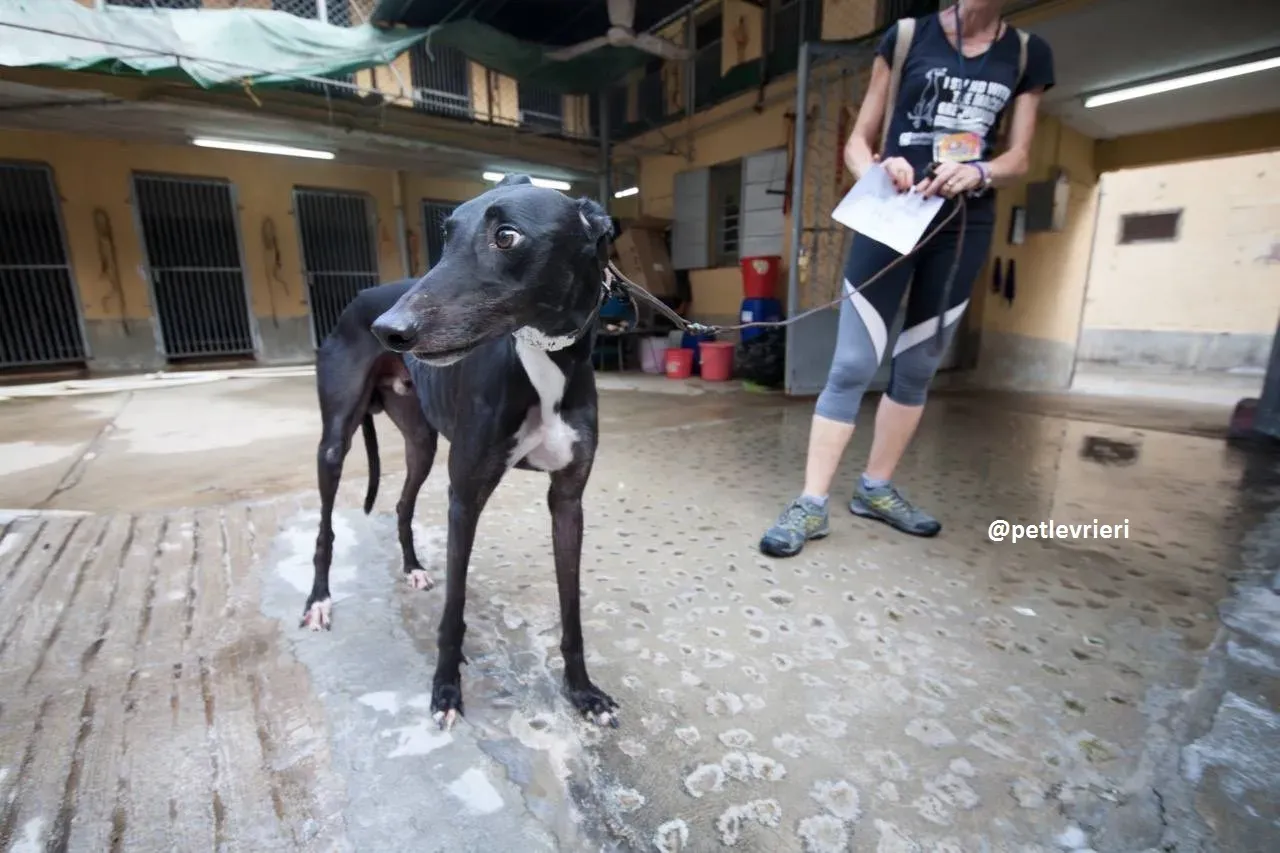 42551927 2035097870136571 1453777826183380992 n 2