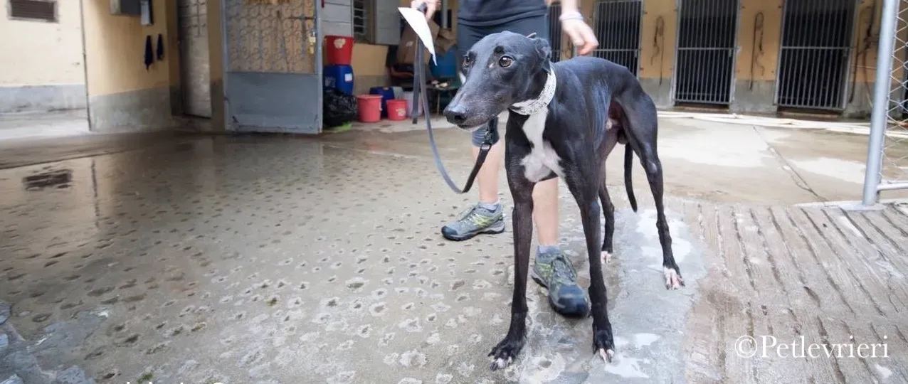 42603580 161016091490908 4552195859474808832 n 1