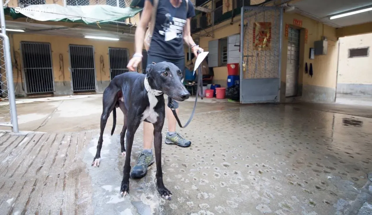 42603580 161016091490908 4552195859474808832 n