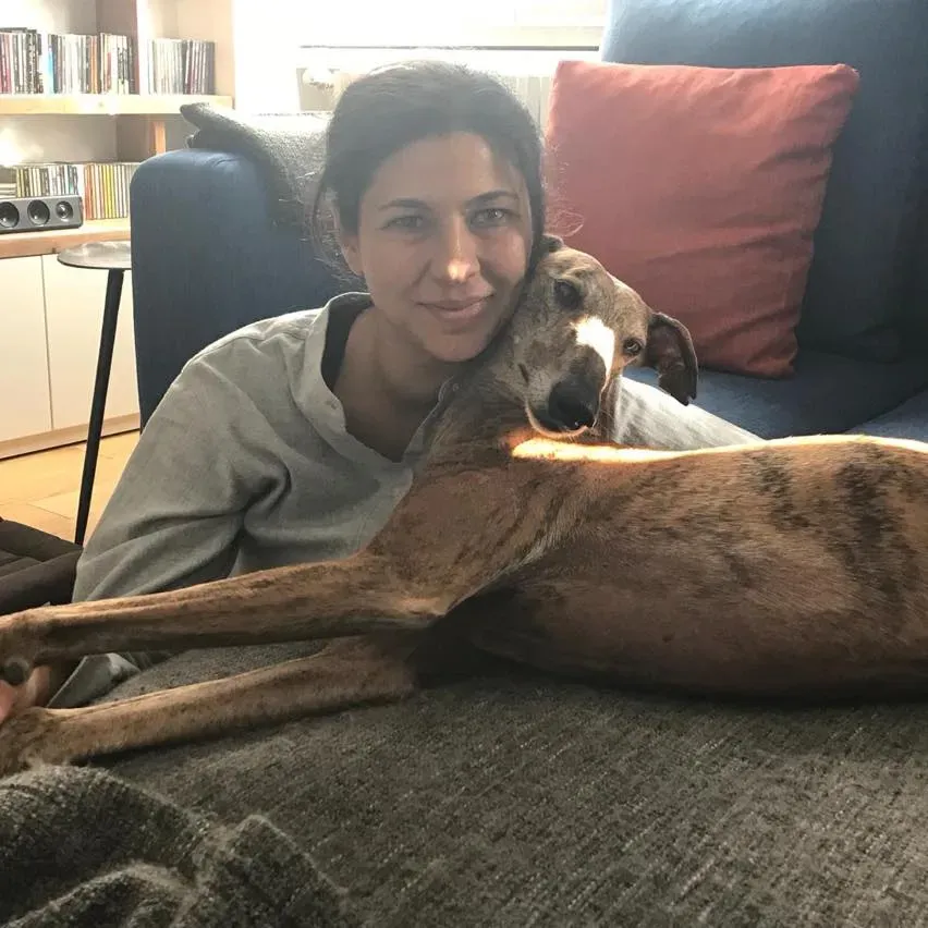 42608185 10156015951588246 7540682018686763008 n