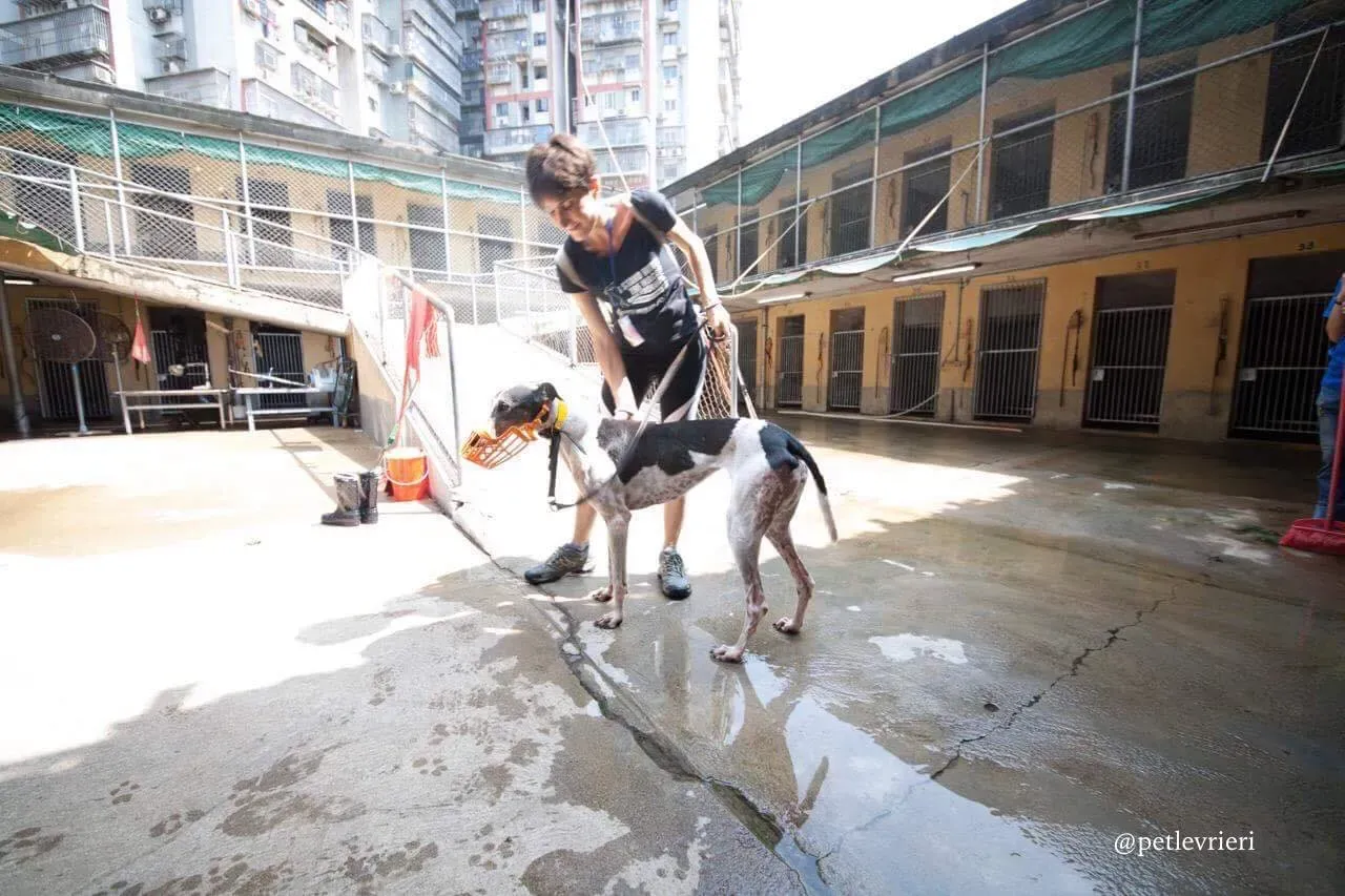 42642888 700004523731901 9210010466611363840 n