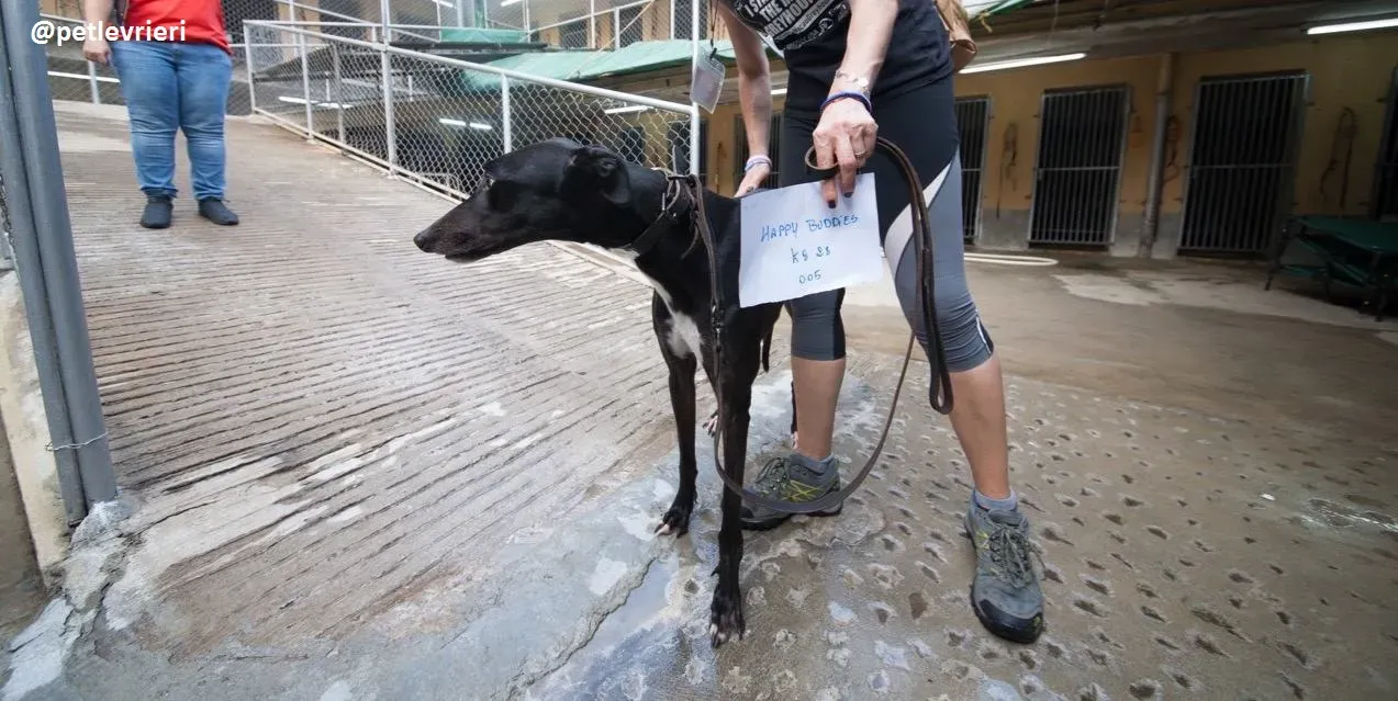 42683517 2172256553031511 4840874415463858176 n