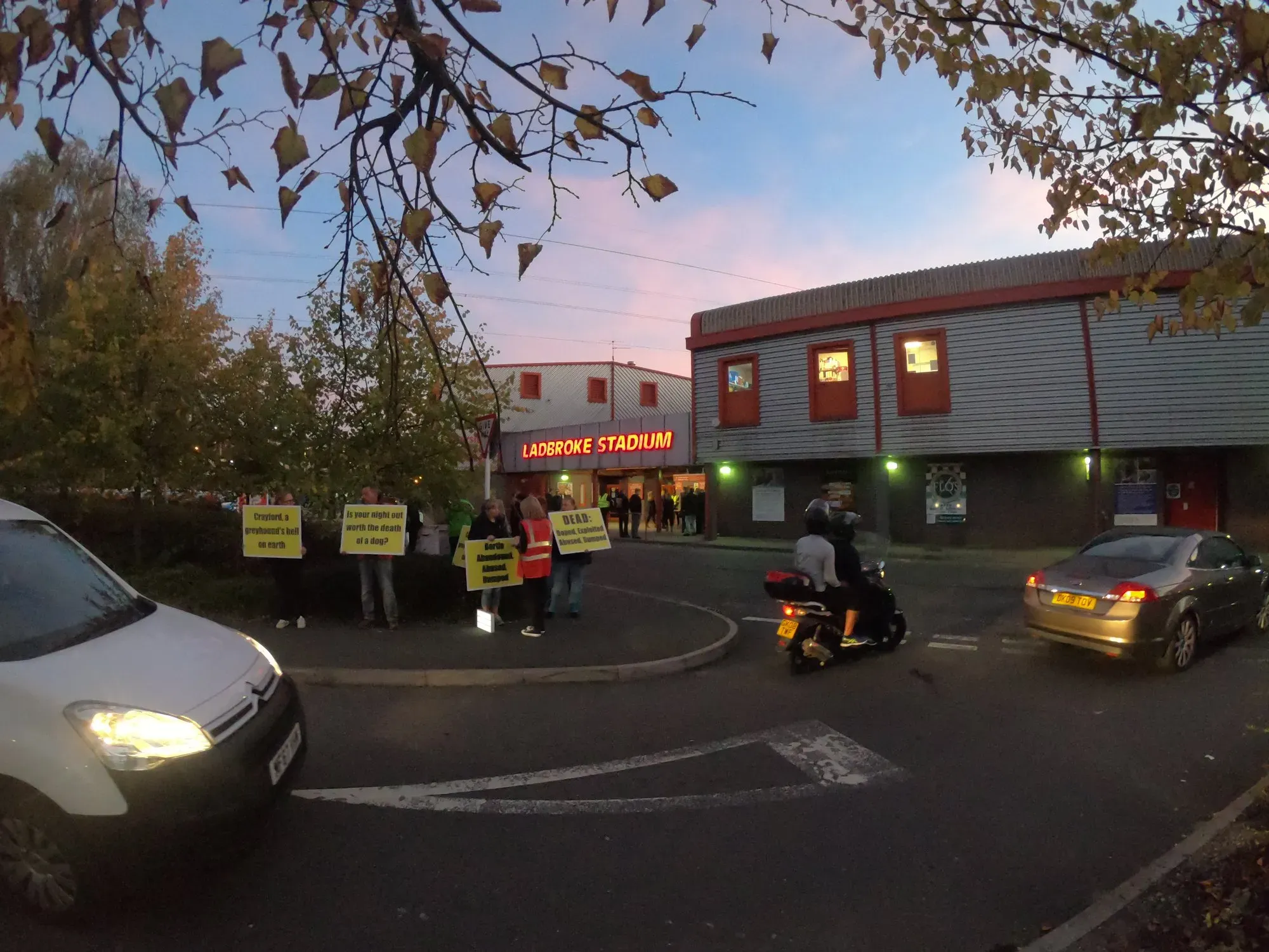 42775067 530246194104154 4020081361762123776 o