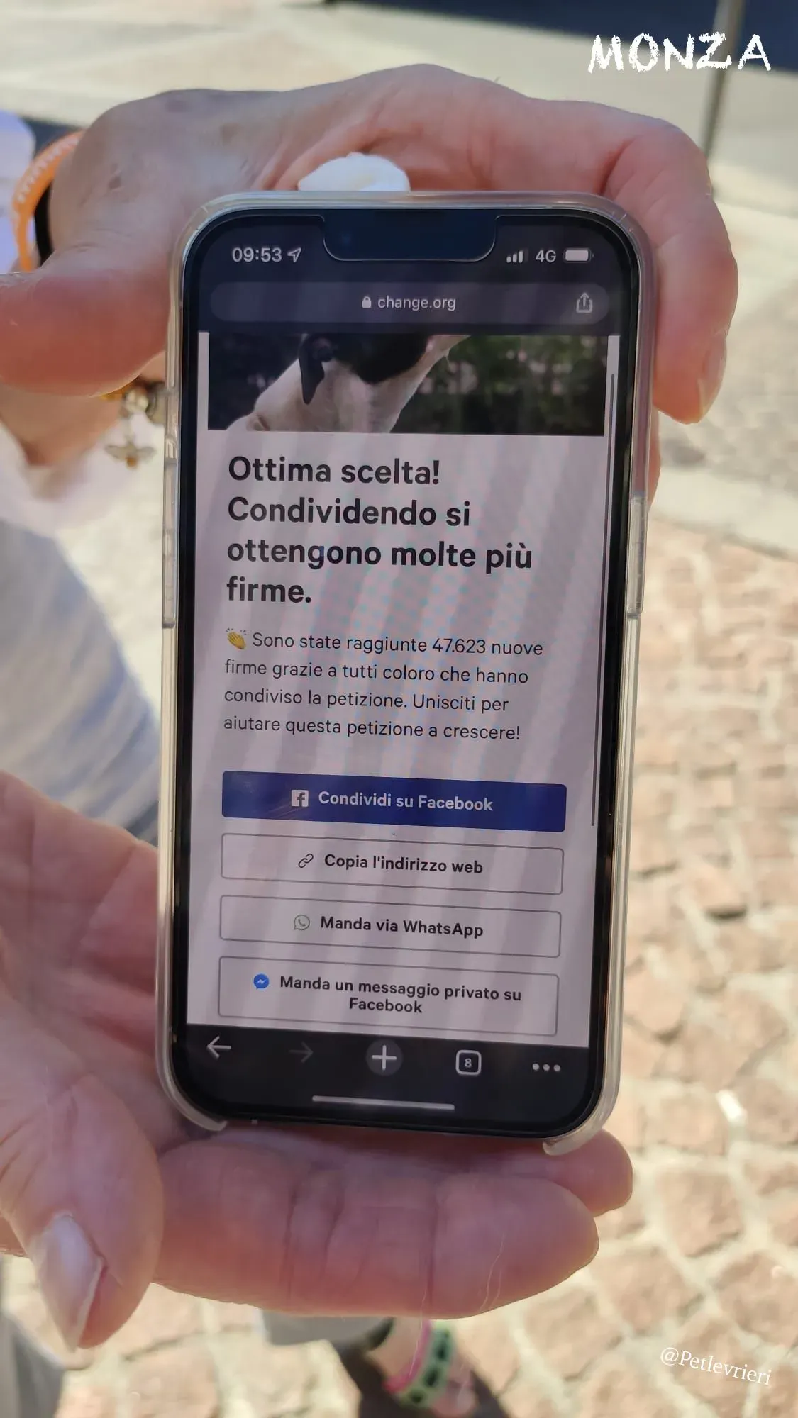 42961984 2bdc 46df 9ce8 3deaf5fec1b7 risultato