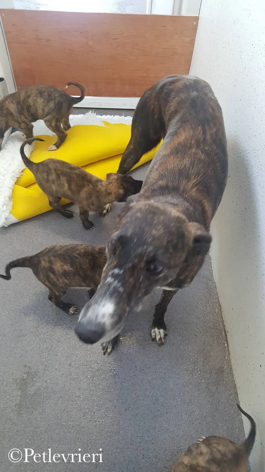 42967019 693014124412125 6962118055258226688 n