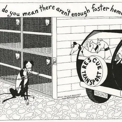 430590 539794352732048 1709956346 n