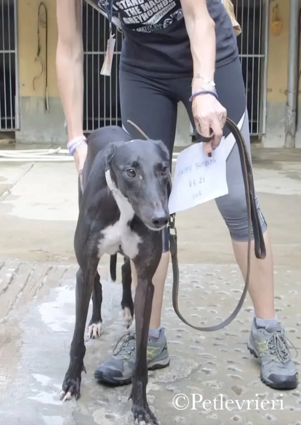 43134458 253413371986576 2450204608153255936 n