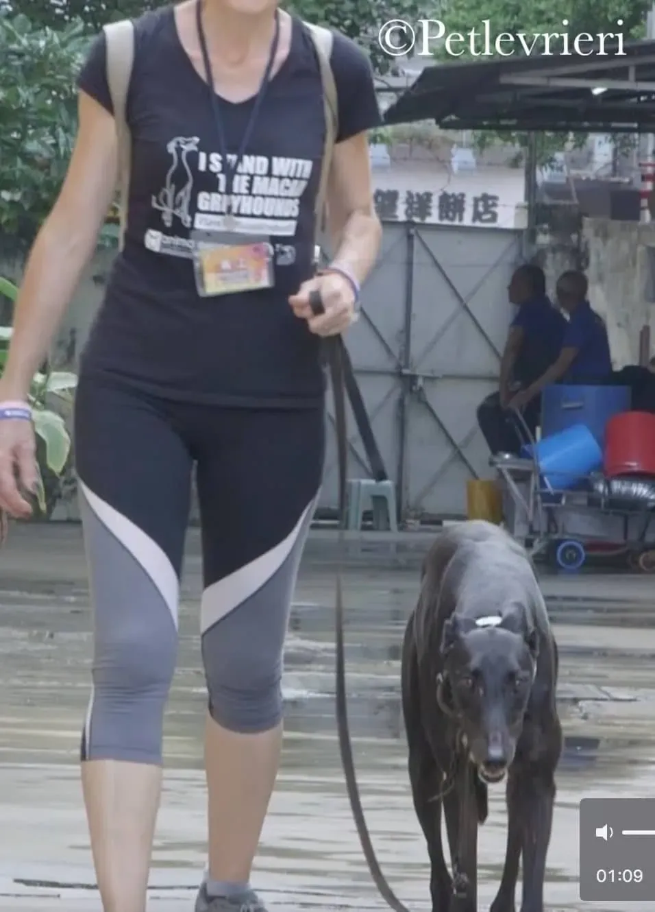 43143870 1800366143418029 650222615134208000 n