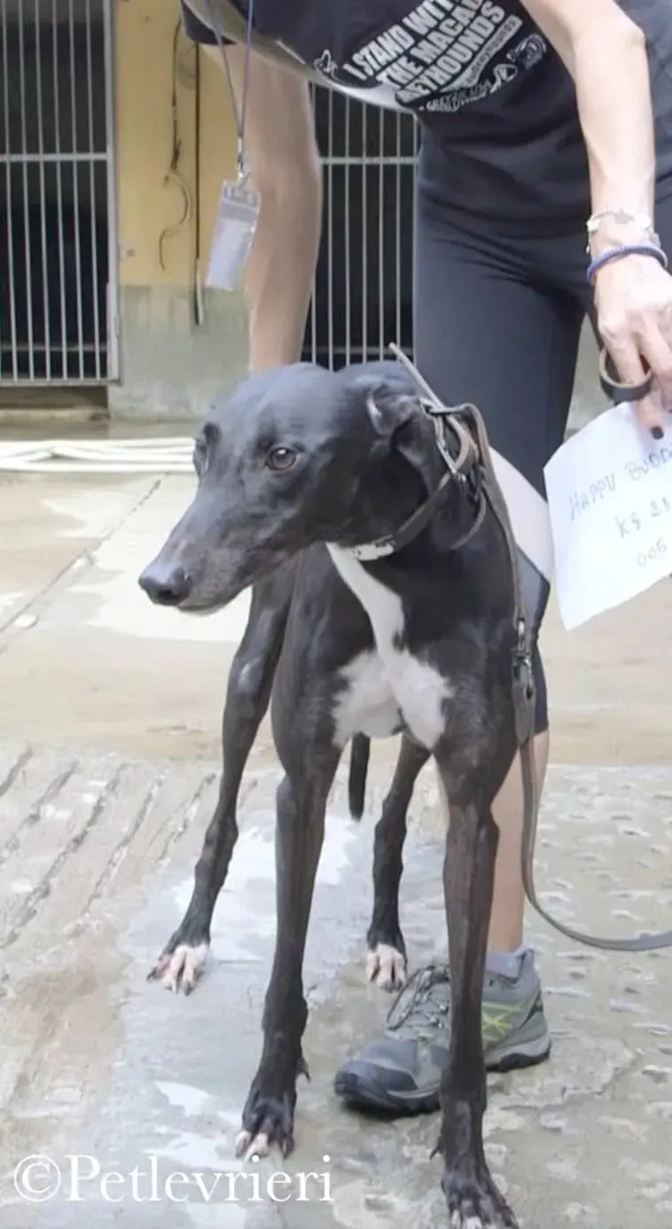 43149305 241599456514341 8977723349455077376 n