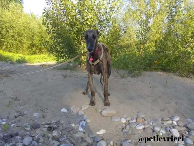 4317C8C9 F5E3 4E7B 8157 82D1861C9381