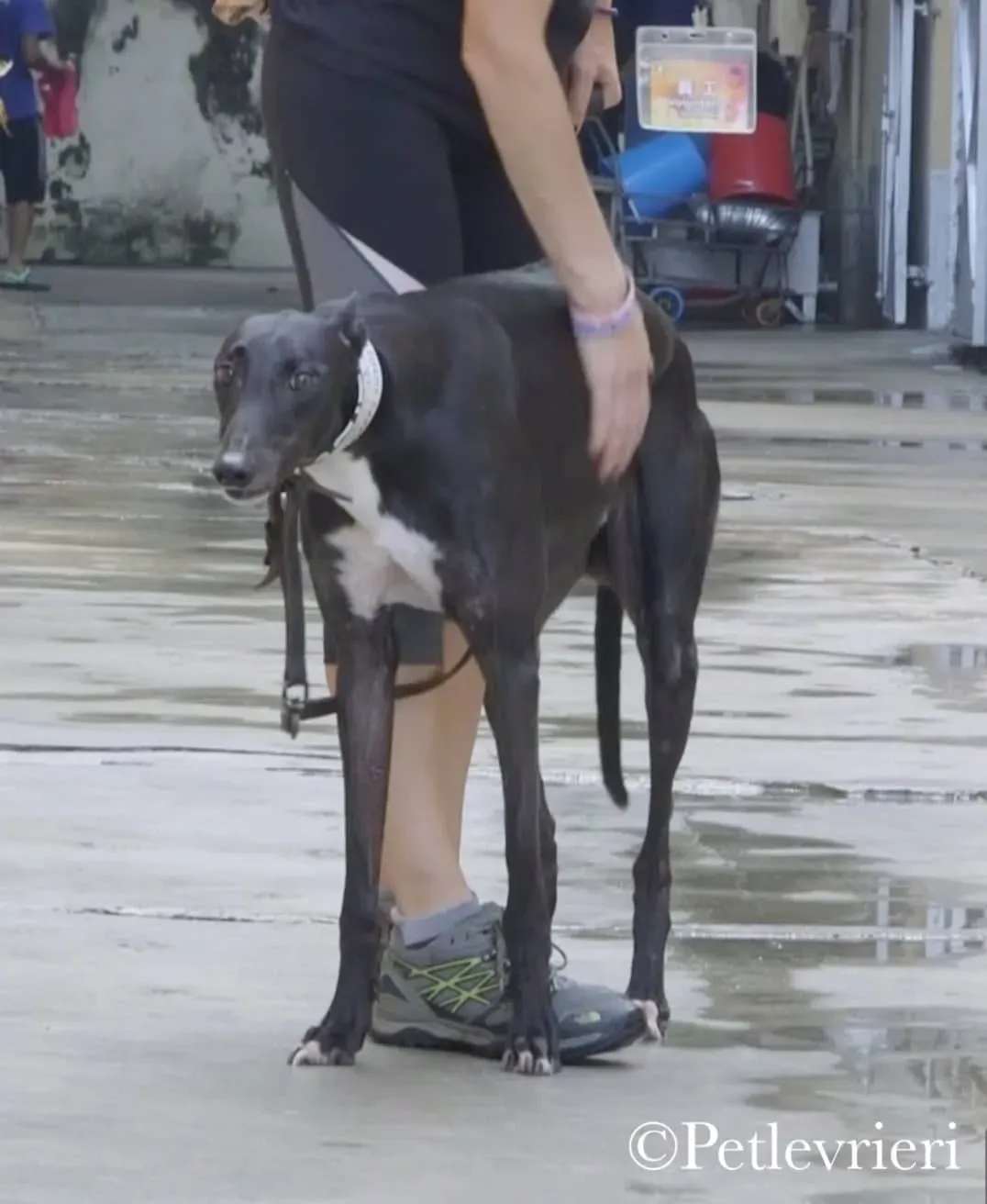 43215747 245102359511401 2821213555448086528 n